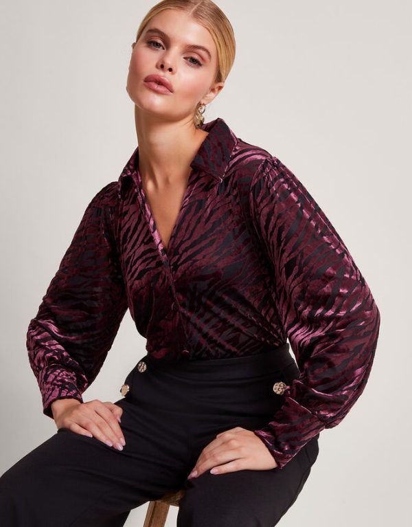 Monsoon Riley Velvet Zebra Print Blouse Brown